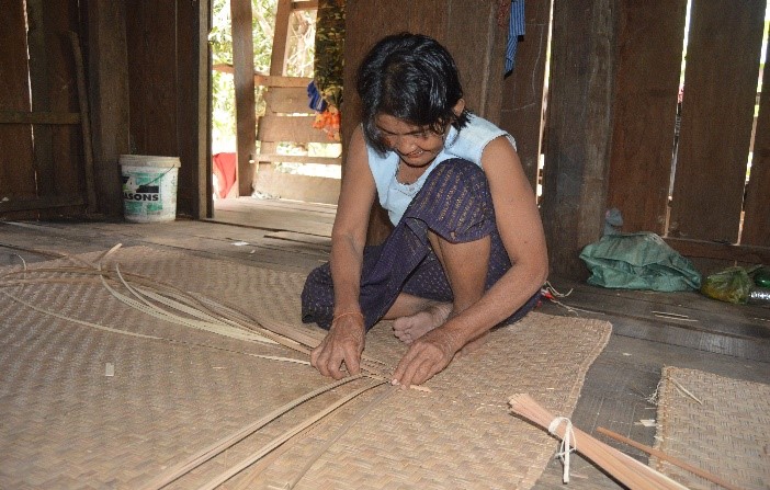 Occupation of local people at Preah Vihear Site